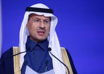 UAE, Saudi say OPEC+ should not play politics