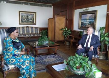 Egypt, DRC discuss progress in joint projects