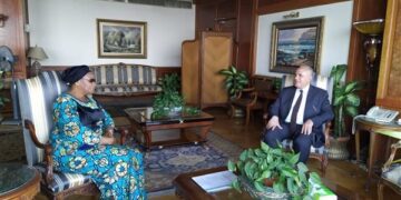 Egypt, DRC discuss progress in joint projects