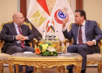 Egypt, Lebanon discuss supporting Lebanese health sector