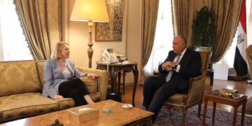 Shoukri, Norwegian counterpart convene