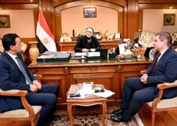 Egypt keen on boosting cooperation with AIDMO