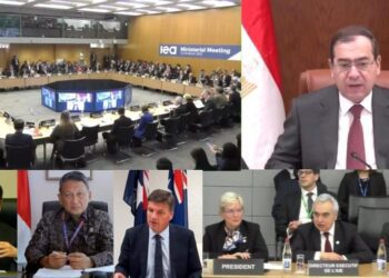 ‘Egyptian initiative to develop energy transition in Africa to be launched in COP27’