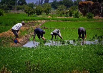 Irrigation min.: Ministry exerting non-stop efforts to secure water needs