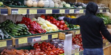 World food prices hits record high in Feb, UN agency says