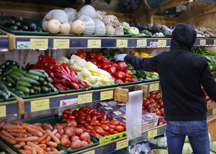 World food prices hit a record high in February, led by a surge in vegetable oils and dairy products, to post a 24.1% increase year-on-year.