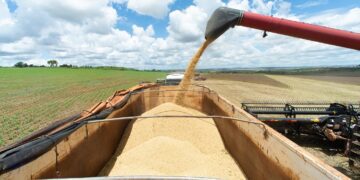 South American nations push to exclude fertilizer from Russia sanctions