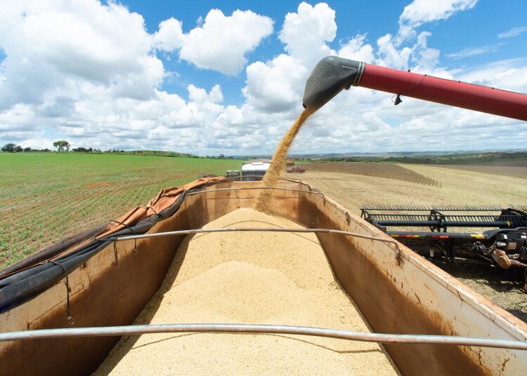 South American nations push to exclude fertilizer from Russia sanctions 1 - Egyptian Gazette Brazil's Agriculture Minister Tereza Cristina Dias secured support from five South American countries for a proposal excluding fertilizer products from any sanctions imposed on Russia.