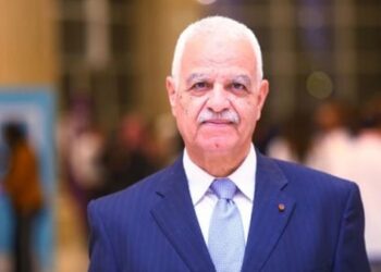 Deweri: Egyptian-Saudi coordination vital for regional stability