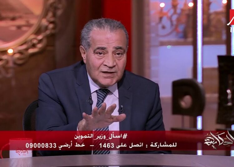 Egypt's  Supply and Internal Trade Minister Ali el Moselhi
