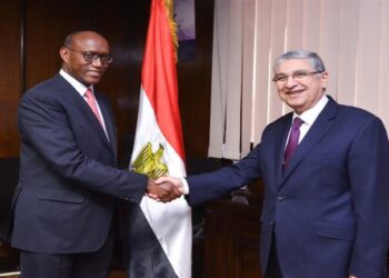 Electricity min., AfDB discuss fostering renewable energy co-operation