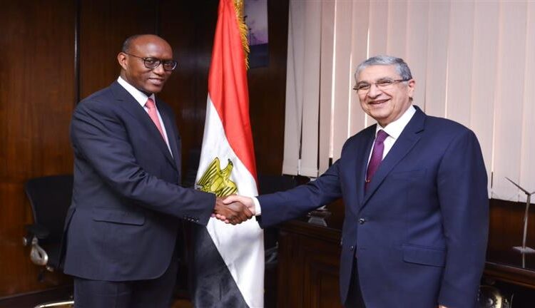 Electricity min., AfDB discuss fostering renewable energy co-operation 1 - Egyptian Gazette