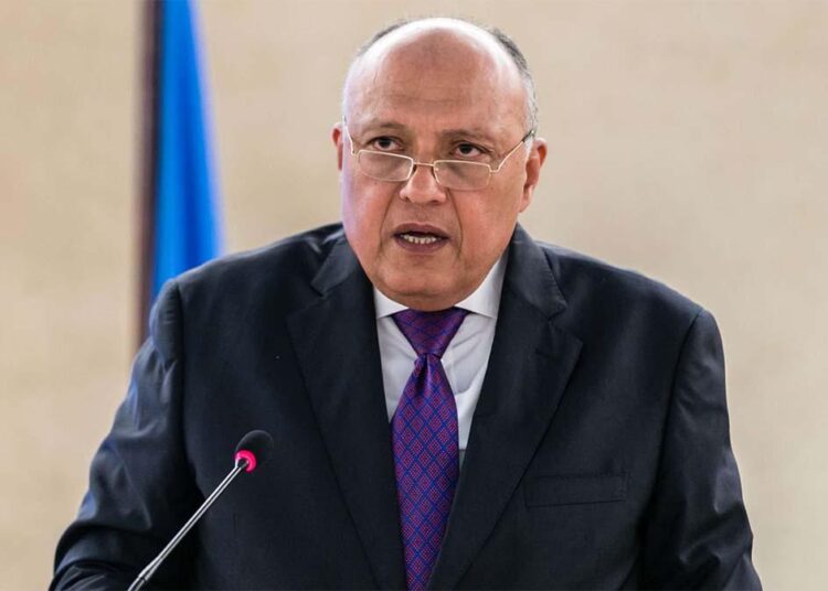 FM takes part in ministerial meeting on Turkish interference in Arab affairs 1 - Egyptian Gazette