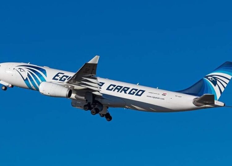 EgyptAir's general assembly to approve restructuring 1 - Egyptian Gazette