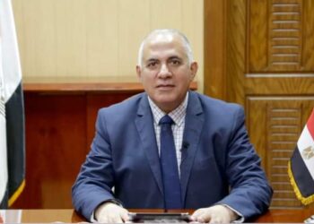 Co-operation with African states key in Egyptian foreign policy – Irrigation