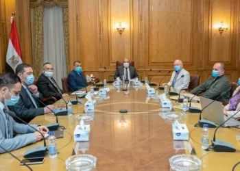 Morsi discusses with Papyrus Australia delegation boosting co-operation