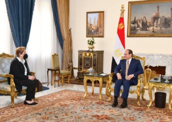 Sisi stresses Egypt’s appreciation of fruitful co-operation with UN on climate change