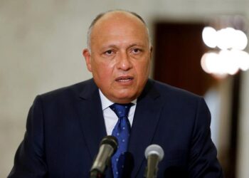 Egypt FM, Thai counterpart discuss boosting bilateral ties