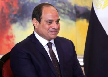 Sisi signs law on hotel, tourist facilities