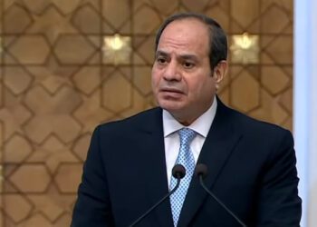 President Sisi opens team sports complex via video conferencing