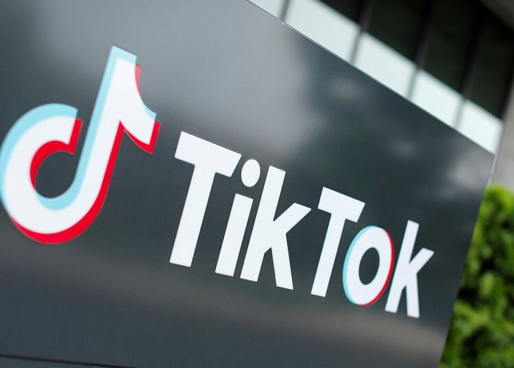 TikTok, with its one billion users worldwide, has helped revolutionise social media and the way artists are discovered.