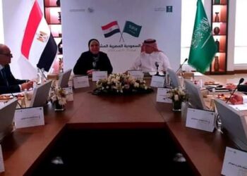 Egypt, Saudi Arabia keen on making quantum leap – Gamea