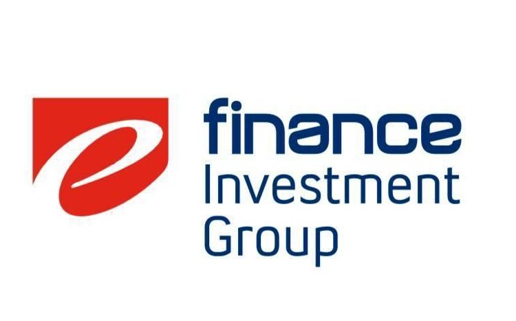 e-finance Investment Group reports FY2021 results 2 - Egyptian Gazette e-finance Investment Group reports FY2021 results 1 - Egyptian Gazette