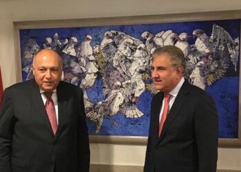 Shoukry stresses Egypt’s keenness on enhancing co-operation with Pakistan