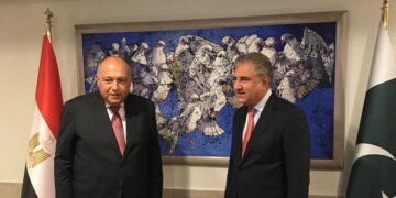 Shoukry stresses Egypt's keenness on enhancing co-operation with Pakistan 1 - Egyptian Gazette Shoukry stresses Egypt’s keenness on enhancing co-operation with Pakistan
