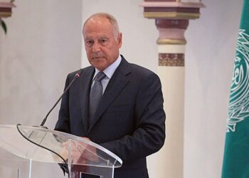 AL chief urges Libyan actors to take necessary measures to hold elections