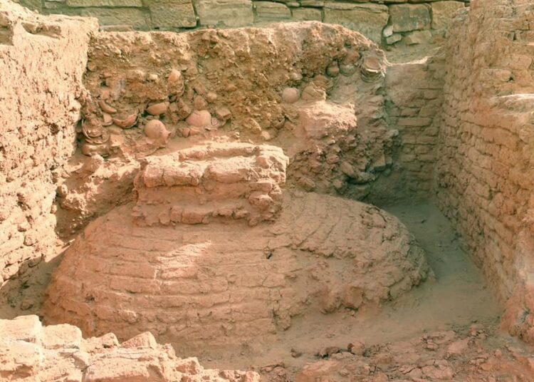 Ancient admin complex unearthed 1 - Egyptian Gazette