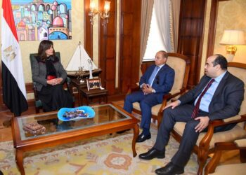 Role of Egyptian expats in ‘Egypt can’ conferences hailed – Makram