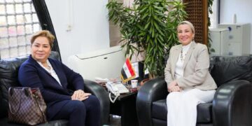 Environment minister, UN official discuss preparations for COP27