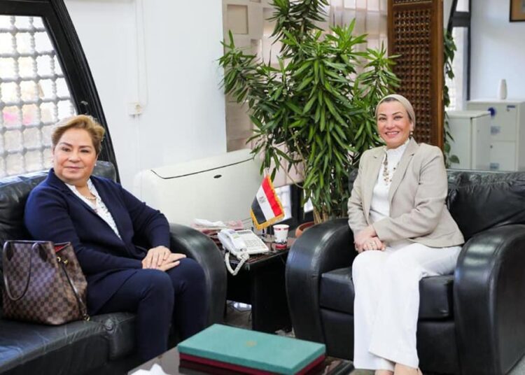 Environment minister, UN official discuss preparations for COP27 1 - Egyptian Gazette