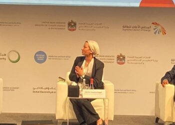 Fouad urges states to determine their needs to ease negative impact of climate change