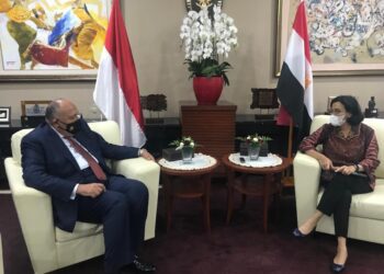 Egypt’s FM discusses boosting economic relations with Indonesian finance minister
