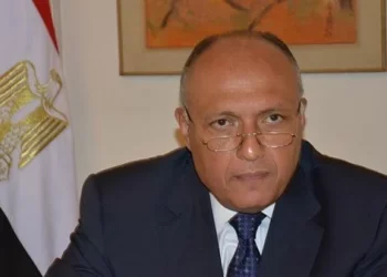 Shoukry: Negev talks important, constructive