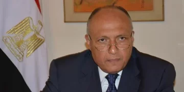 Shoukry: Negev talks important, constructive