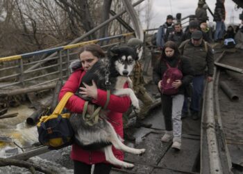 Russia announces ceasefire for evacuations, third round of negotiations set