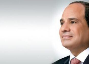 Sisi shapes Egypt’s future with inclusive vision – Kuwaiti writer