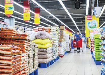 Gov’t: Egypt doubling efforts to ensure strategic stockpile of basic commodities