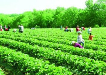 State keen on boosting agricultural crops