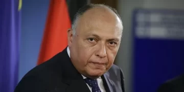 Shoukry, Pakistani chief of army staff convene in Islamabad