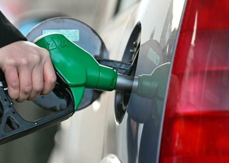 The International Energy Agency on Friday urged governments to urgently implement measures to cut global oil consumption within months following supply fears stemming from Russia's military operation in Ukraine.