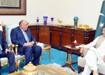 FM delivers message from Sisi to Pakistani PM