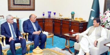 FM delivers message from Sisi to Pakistani PM 1 - Egyptian Gazette FM delivers message from Sisi to Pakistani PM