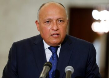 Shoukry holds talks with GCF Executive Director