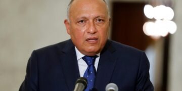Shoukry holds talks with GCF Executive Director 1 - Egyptian Gazette Shoukry holds talks with GCF Executive Director
