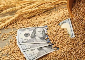 Egypt trying to adapt to toll from war in Ukraine