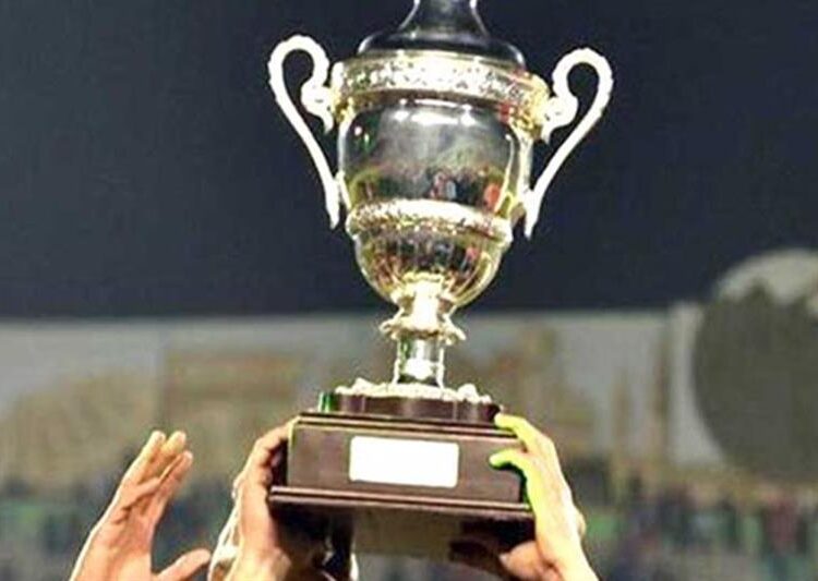 Egyptian Cup to resume in May 1 - Egyptian Gazette